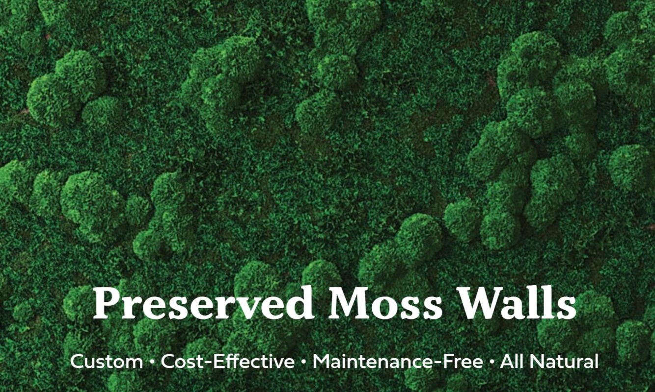 moss wall to reduce sound in a room
